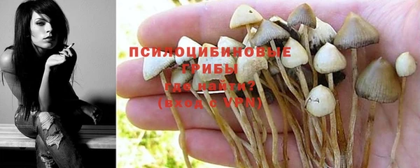 бутират Арсеньев