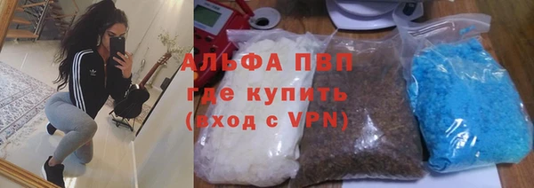 стаф Аркадак
