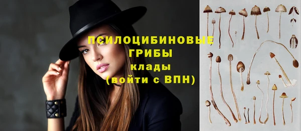 бутират Арсеньев