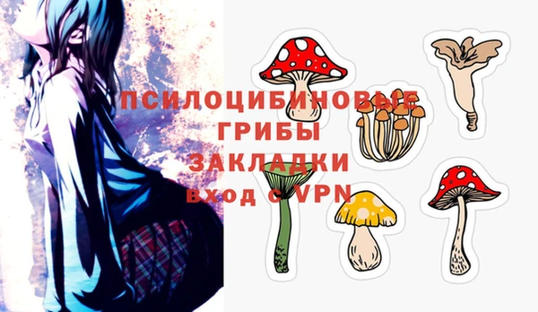 стаф Аркадак