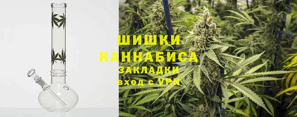 стаф Аркадак