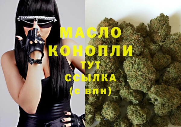 стаф Аркадак
